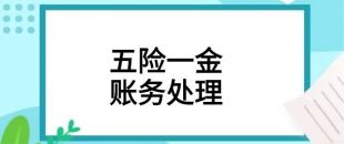 會計(jì)如何處理單位和個(gè)人繳納的“五險(xiǎn)一金”財(cái)稅問題